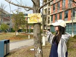 396952094d2f32bea153c4b9e24404c7